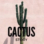 Cactus, tra cure e moda